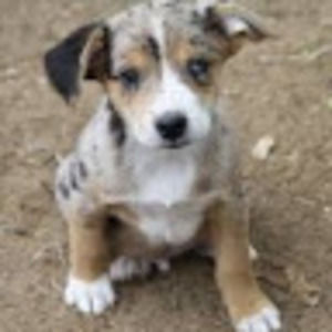 Meet your Posher, Zoe